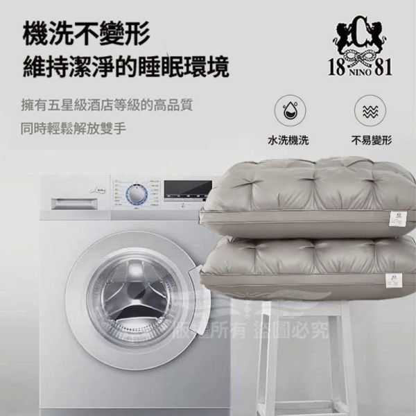 1881扭花立體石墨烯枕 扭花立體石墨烯枕, 石墨烯羽絲棉, 石墨烯枕頭