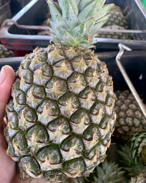米 