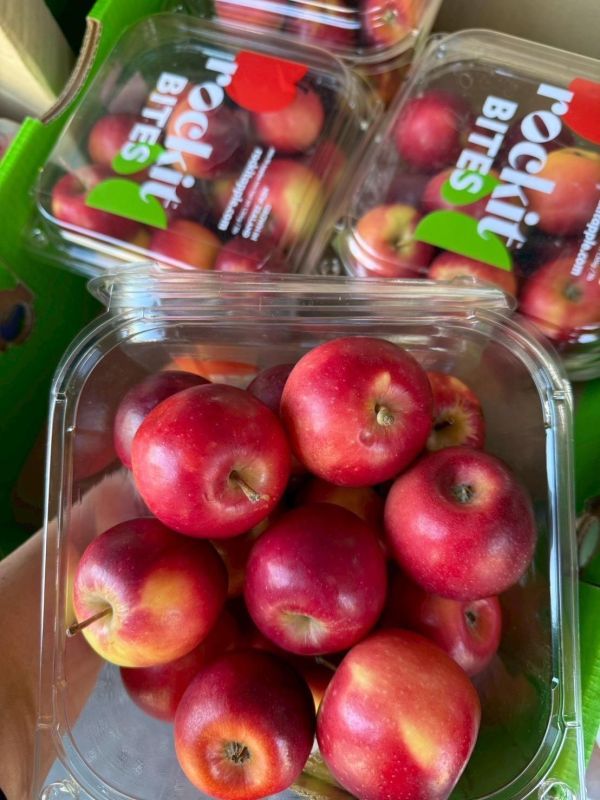 紐西蘭樂淇蘋果｜家庭號 紐西蘭樂淇蘋果,樂淇蘋果,紐西蘭蘋果,蘋果