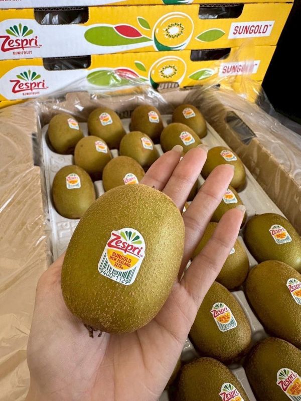 紐西蘭 Zespri 黃金奇異果 紐西蘭 Zespri 黃金奇異果 ,黃金奇異果 ,Zespri 黃金奇異果,奇異果,紐西蘭奇異果