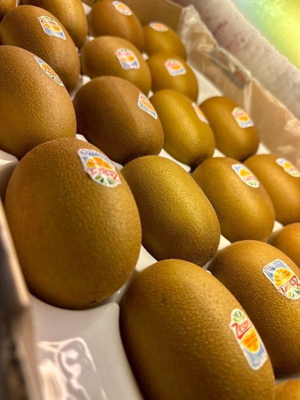 紐西蘭 Zespri 黃金奇異果 紐西蘭 Zespri 黃金奇異果 ,黃金奇異果 ,Zespri 黃金奇異果,奇異果,紐西蘭奇異果