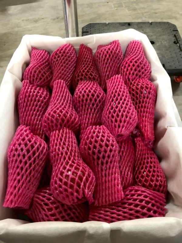 屏東蜜風鈴蓮霧 屏東蜜風鈴蓮霧, 蓮霧, 屏東