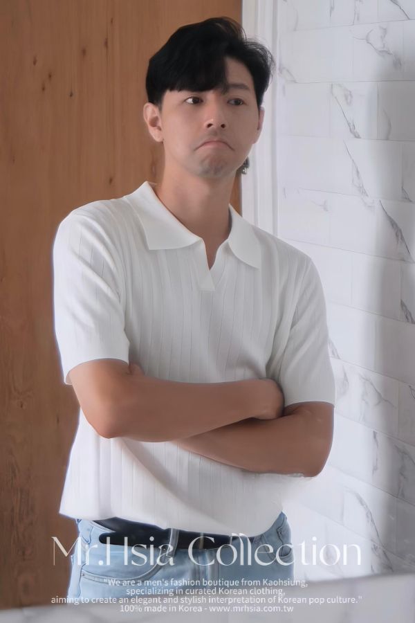 翻領紋理上衣 