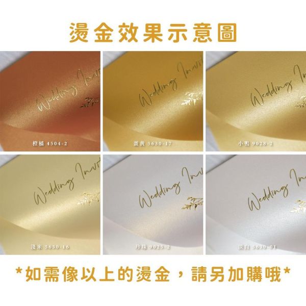 橘橙系｜素面珠光信封／工廠直營 長方型信封 方型信封 多種尺寸 喜帖信封 燙金信封 信封袋 卡片袋 質感信封 台灣製造 