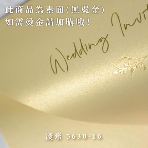 橘橙系｜素面珠光信封／工廠直營 長方型信封 方型信封 多種尺寸 喜帖信封 燙金信封 信封袋 卡片袋 質感信封 台灣製造 