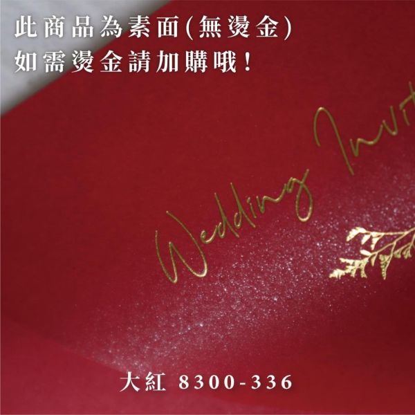 唇釉系｜素面珠光信封／工廠直營 長方型信封 方型信封 多種尺寸 喜帖信封 燙金信封 信封袋 卡片袋 質感信封 台灣製造 