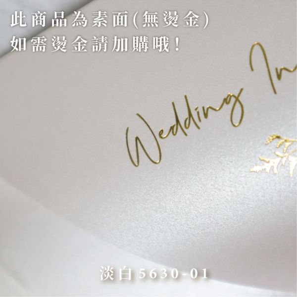 橘橙系｜素面珠光信封／工廠直營 長方型信封 方型信封 多種尺寸 喜帖信封 燙金信封 信封袋 卡片袋 質感信封 台灣製造 