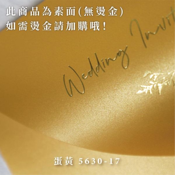 橘橙系｜素面珠光信封／工廠直營 長方型信封 方型信封 多種尺寸 喜帖信封 燙金信封 信封袋 卡片袋 質感信封 台灣製造 