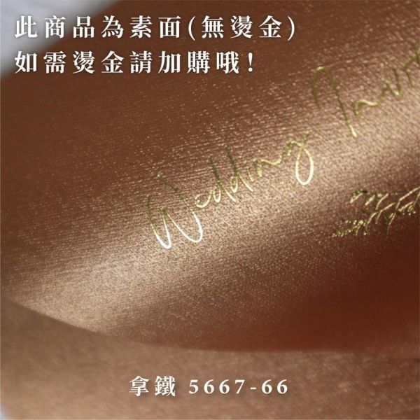 日曬系｜素面珠光信封／工廠直營 長方型信封 方型信封 多種尺寸 喜帖信封 燙金信封 信封袋 卡片袋 質感信封 台灣製造 