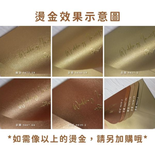 日曬系｜素面珠光信封／工廠直營 長方型信封 方型信封 多種尺寸 喜帖信封 燙金信封 信封袋 卡片袋 質感信封 台灣製造 