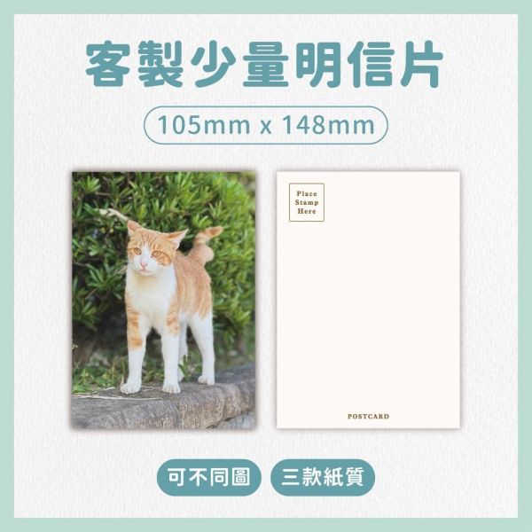明信片印刷｜少量 多款紙質 可不同圖檔 節慶 旅遊 人物 風景 禮物 韓星 應援 客製化明信片 卡片印刷 