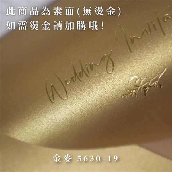 日曬系｜素面珠光信封／工廠直營 長方型信封 方型信封 多種尺寸 喜帖信封 燙金信封 信封袋 卡片袋 質感信封 台灣製造 