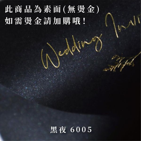 迷幻系｜素面珠光信封／工廠直營 長方型信封 方型信封 多種尺寸 喜帖信封 燙金信封 信封袋 卡片袋 質感信封 台灣製造 