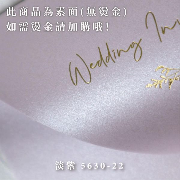 迷幻系｜素面珠光信封／工廠直營 長方型信封 方型信封 多種尺寸 喜帖信封 燙金信封 信封袋 卡片袋 質感信封 台灣製造 