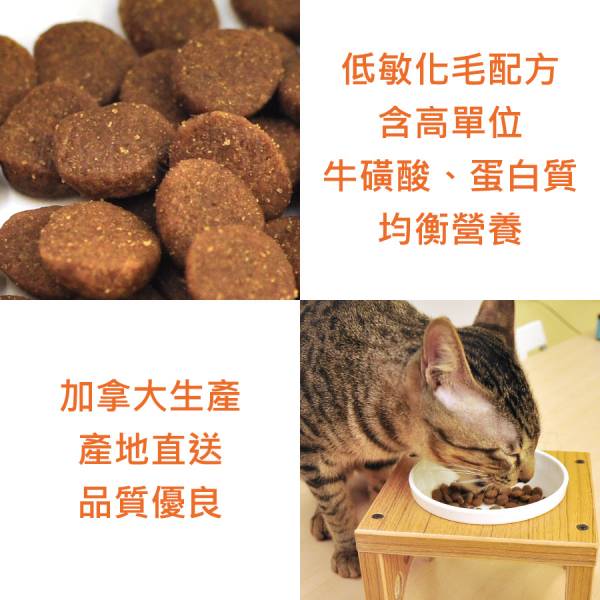 現貨【猋34/21挑嘴幼母貓7kg低敏化毛配方】加拿大PURE幼貓母貓貓飼料乾糧貓糧7公斤【MOMOCAT摸摸貓】E25 貓飼料,貓乾糧,成貓飼料,化毛,貓飯,貓糧,貓乾乾,pure,猋,加拿大,挑嘴貓飼料,大包裝,飼料,推薦飼料,公貓飼料,母貓飼料,超值,懷孕貓飼料,小包裝,幼貓飼料