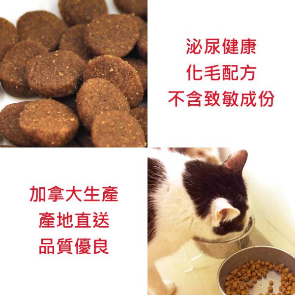 現貨【猋30/18挑嘴成貓7kg泌尿健康化毛配方】加拿大PURE全齡成貓飼料乾糧貓糧7公斤【MOMOCAT摸摸貓】E25 貓飼料,貓乾糧,成貓飼料,化毛,貓飯,貓糧,貓乾乾,pure,猋,加拿大,挑嘴貓飼料,大包裝,飼料,推薦飼料,公貓飼料,母貓飼料,超值,懷孕貓飼料,小包裝,幼貓飼料