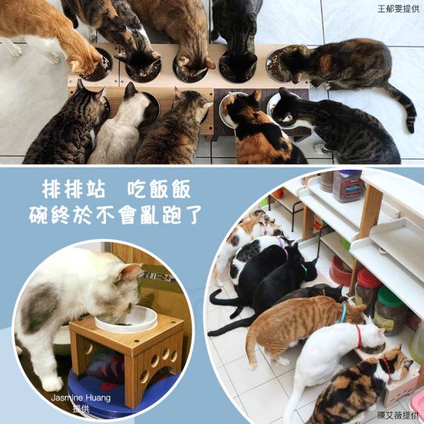 現貨【雙口小型犬貓餐桌曼特寧色附鐵碗】可客製高度狗碗架狗用碗架小型犬碗架美短英短貓碗架【MOMOCAT摸摸貓】D11-2 寵物餐桌,寵物碗架,貓餐桌,貓碗架,狗餐桌,狗碗架,小型犬餐桌,小型犬碗架,客製高度碗架,餐碗木座,餐碗木架,餐碗碗架,架高碗,狗用餐桌,狗用碗架,犬用餐桌,犬用碗架,狗碗,托高食盆架,碗支架,吃飯桌子,飯桌,放碗桌,餐台,餐檯,餐碗台,原木餐桌,原木碗架,防水餐桌,防水碗架,餐架,木作,木製,壓克力,實木,防潮