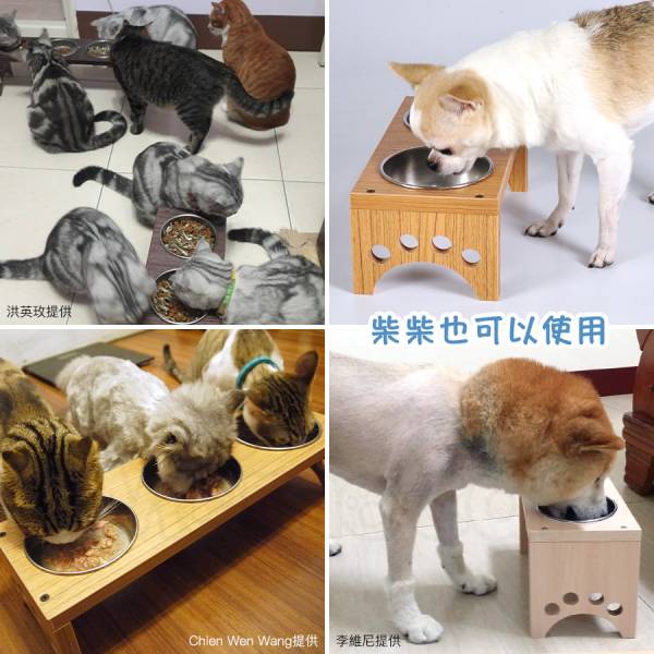 現貨【雙口小型犬貓餐桌黃金柚木色附鐵碗】客製高度西高地白㹴西施犬巴哥比熊迷你杜賓犬專用【MOMOCAT摸摸貓】D11-2 寵物餐桌,寵物碗架,貓餐桌,貓碗架,狗餐桌,狗碗架,小型犬餐桌,小型犬碗架,客製高度碗架,餐碗木座,餐碗木架,餐碗碗架,架高碗,狗用餐桌,狗用碗架,犬用餐桌,犬用碗架,狗碗,托高食盆架,碗支架,吃飯桌子,飯桌,放碗桌,餐台,餐檯,餐碗台,原木餐桌,原木碗架,防水餐桌,防水碗架,餐架,木作,木製,壓克力,實木,防潮