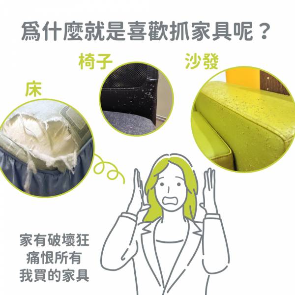 現貨【單片60x20cm手工貓抓板】貓跳台樓梯替換用抓板無配件包耐抓柔軟黃麻繩磨爪板磨爪器【MOMOCAT摸摸貓】M03 貓抓板,手工貓抓板,麻繩抓板,黃麻繩貓抓板,單面貓抓板,專利貓抓板,黃麻繩,籠掛式,耐用抓板,磨爪板,磨爪器