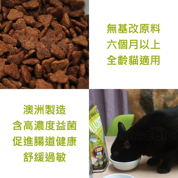 現貨【阿拉卡特全齡貓雞肉益生菌1.5kg】澳洲ALACARTE無基改貓飼料貓乾糧1.5公斤【MOMOCAT摸摸貓】E72 宅配,貓飼料,貓乾糧,成貓飼料,化毛,貓飯,貓糧,貓乾乾,ALACARTE,阿拉卡特,澳洲,飼料,推薦飼料,公貓飼料,母貓飼料,鮭魚,雞肉,益生菌