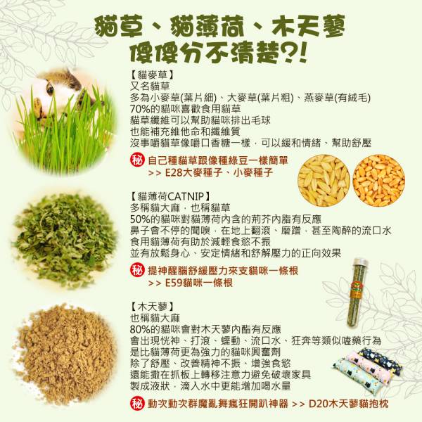 現貨【小麥種子】250g專業新鮮美國貓用貓食用貓草種子貓麥草簡單好種化毛助消化排毛球自種【MOMOCAT摸摸貓】E28 貓草,貓草種子,種子,小麥種子,小麥草種子,小麥草,貓麥草,化毛,排毛球,食用麥草