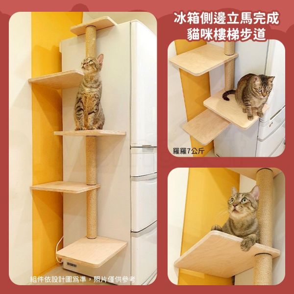 現貨【T11原木天梯】1~4階 側邊輔助動線 踏板 踏階 貓跳板 貓跳台 貓樓梯 台灣製 免鑽孔【MOMOCAT摸摸貓】 原木櫃體天梯,冰箱,衣櫃,櫃子,側邊輔助,踏板,踏階,貓跳板,貓跳台,貓抓柱,貓樓梯,MOMOCAT,摸摸貓,貓攀爬架,貓爬架,貓攀爬樹,貓攀爬玩具,貓攀爬設施,貓攀爬傢俱,貓攀爬平台,台灣寵物家具