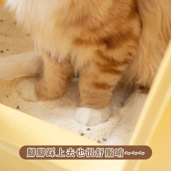 現貨【臭味滾波霸奶茶木薯砂2.5kg】用量省天然砂木薯砂貓砂波霸奶茶消臭植物砂除臭凝結砂超吸力【MOMOCAT摸摸貓】L16-2(超取限購2) 用量省,天然砂,木薯砂,貓砂,波霸奶茶,消臭,植物砂,除臭,凝結砂,超吸力