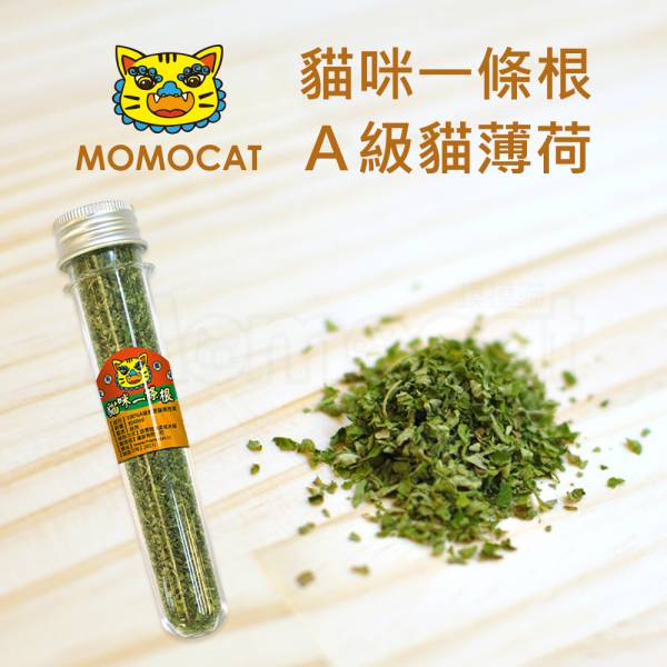 現貨【貓咪一條根】台灣頂級A級貓薄荷乾燥嫩葉貓草貓咪興奮劑提神醒腦舒緩壓力放鬆身心可食用【MOMOCAT摸摸貓】E59 貓草,貓薄荷,貓大麻,木天蓼,貓咪興奮劑,促進食慾,A級乾燥貓薄荷葉