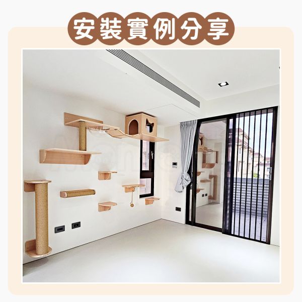 十天出貨【貓牆用太空碗】貓牆 壓克力半球 壓克力碗 透明碗 釘牆 鑽牆 牆上 跳板 貓跳台【MOMOCAT摸摸貓】D43 貓牆,貓層架,釘牆,貓樓梯,牆上貓跳台,跳板,木架,壁掛,黃麻,麻繩柱