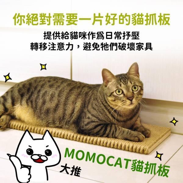 現貨【單片45x20cm手工貓抓板】拼樂替換用抓板無配件包耐抓柔軟黃麻繩抓板磨爪板磨爪器【MOMOCAT摸摸貓】D01 貓抓板,拼樂,貓跳台,手工貓抓板,麻繩抓板,黃麻繩貓抓板,單面貓抓板,專利貓抓板,黃麻繩,平放式,耐用抓板,籠掛式