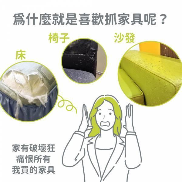 現貨【單片45x20cm手工貓抓板】拼樂替換用抓板無配件包耐抓柔軟黃麻繩抓板磨爪板磨爪器【MOMOCAT摸摸貓】D01 貓抓板,拼樂,貓跳台,手工貓抓板,麻繩抓板,黃麻繩貓抓板,單面貓抓板,專利貓抓板,黃麻繩,平放式,耐用抓板,籠掛式