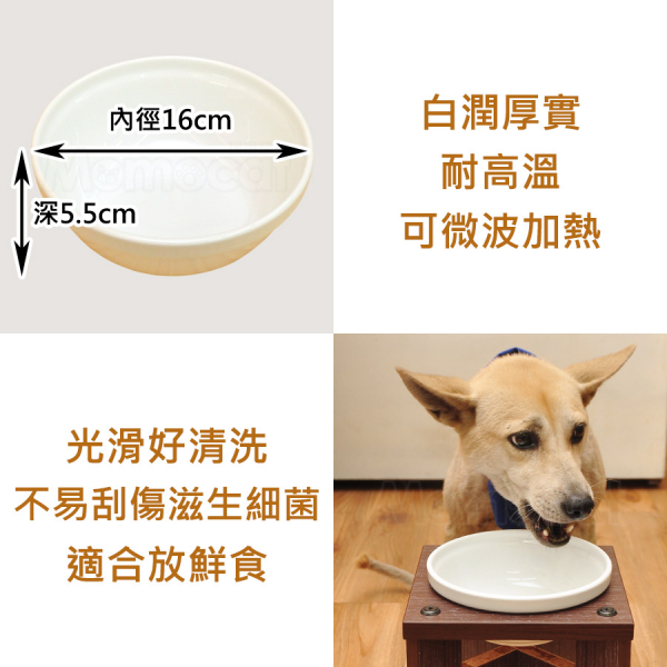 現貨【2號強化瓷碗】中型犬大型犬用狗用大碗陶瓷碗白磁碗飯碗寵物餐碗狗碗食器微波高溫鮮食用【MOMOCAT摸摸貓】E23 瓷碗,飯碗,磁碗,寵物碗,貓碗,狗碗,餐碗,食器,飼料碗,水碗,生食,鮮食,生肉,飯碗,中型犬,犬用,狗用,食盆,食器,白瓷碗