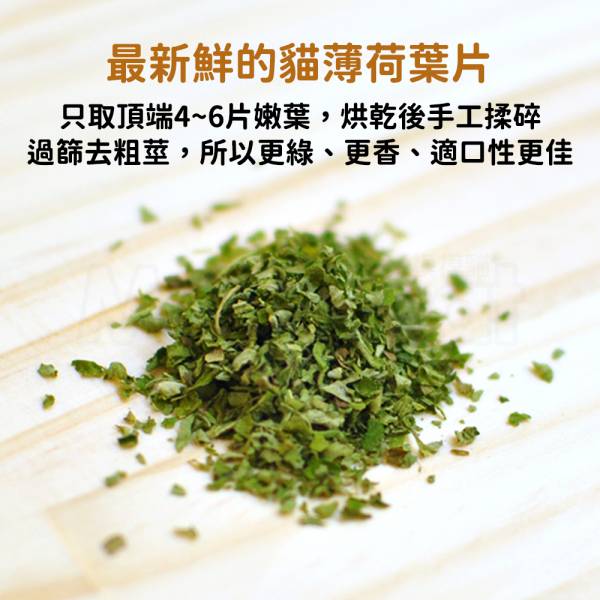 現貨【貓咪一條根】台灣頂級A級貓薄荷乾燥嫩葉貓草貓咪興奮劑提神醒腦舒緩壓力放鬆身心可食用【MOMOCAT摸摸貓】E59 貓草,貓薄荷,貓大麻,木天蓼,貓咪興奮劑,促進食慾,A級乾燥貓薄荷葉