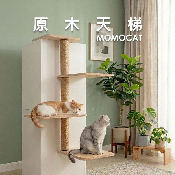 現貨【T11原木天梯】1~4階 側邊輔助動線 踏板 踏階 貓跳板 貓跳台 貓樓梯 台灣製 免鑽孔【MOMOCAT摸摸貓】 原木櫃體天梯,冰箱,衣櫃,櫃子,側邊輔助,踏板,踏階,貓跳板,貓跳台,貓抓柱,貓樓梯,MOMOCAT,摸摸貓,貓攀爬架,貓爬架,貓攀爬樹,貓攀爬玩具,貓攀爬設施,貓攀爬傢俱,貓攀爬平台,台灣寵物家具