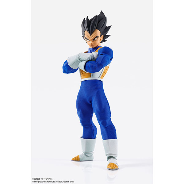 BANDAI 萬代 | IMAGINATION WORKS 七龍珠 | 貝吉達 | 達爾 (預訂2021年9月)  