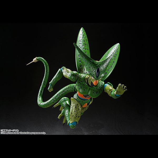 BANDAI 萬代 | S.H.Figuarts SHF 七龍珠Z | 賽魯 | 西魯 | 第一形態 | 高約17公分 | 可動完成品 | 全新未拆 | 現貨 