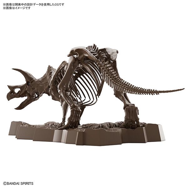 BANDAI 萬代 | 1/32 Imaginary Skeleton 幻想骨骼系列 | 三角龍 | 組裝模型 | 現貨 