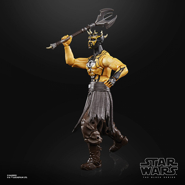 HASBRO 孩之寶 | THE BLACK SERIES 6" 黑標6吋 | 電玩 | 星際大戰 | 絕地：組織殞落 | NIGHTBROTHER WARRIOR 暗夜兄弟 | 全新未拆 | 盒況如圖 | 現貨 