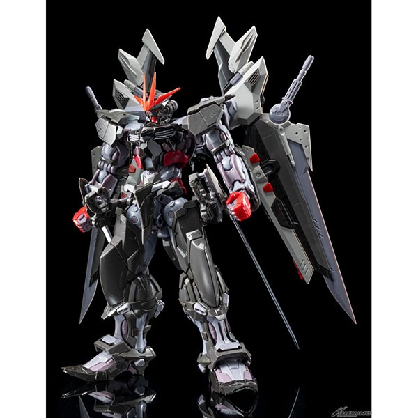 BANDAI 萬代 | HiRM 1/100 漆黑異端鋼彈 | 骨架完成品 | 組裝模型 