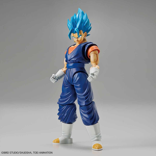 BANDAI 萬代 | Figure-rise Standard 超級賽亞人之神 | 超級賽亞人 | 達洛特 | 組裝模型  