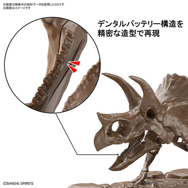 BANDAI 萬代 | 1/32 Imaginary Skeleton 幻想骨骼系列 | 三角龍 | 組裝模型 | 現貨 