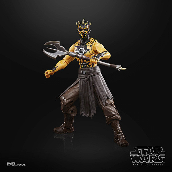 HASBRO 孩之寶 | THE BLACK SERIES 6" 黑標6吋 | 電玩 | 星際大戰 | 絕地：組織殞落 | NIGHTBROTHER WARRIOR 暗夜兄弟 | 全新未拆 | 盒況如圖 | 現貨 