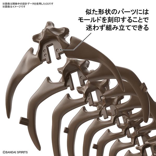 BANDAI 萬代 | 1/32 Imaginary Skeleton 幻想骨骼系列 | 三角龍 | 組裝模型 | 現貨 