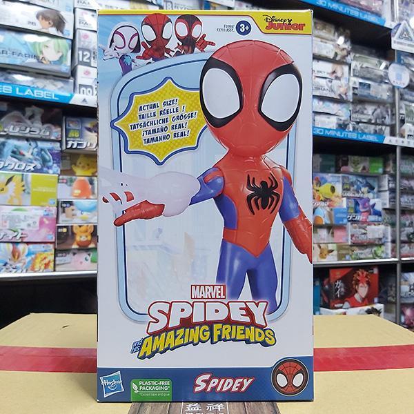 HASBRO 孩之寶 | 漫威蜘蛛人與他的神奇朋友們 | 巨大英雄 | 蜘蛛人 | Spider-Man 頭部與手臂可活動 | 高約23公分 | 全新未拆 | 現貨 