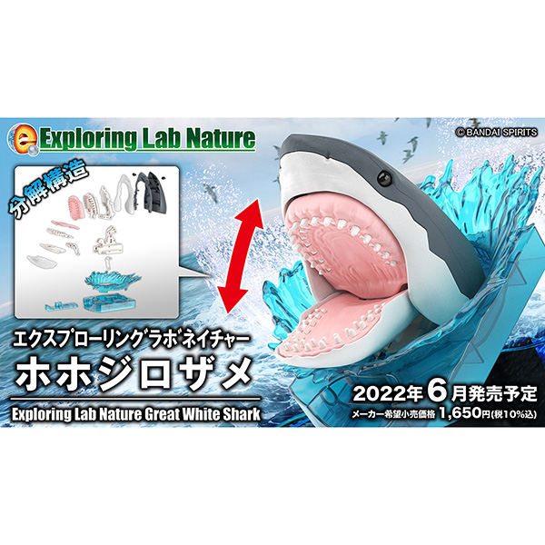 BANDAI 萬代 | Exploring Lab Nature 探索實驗室自然 | 大白鯊 | 組裝模型 | 現貨 