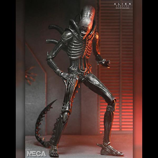 NECA 異形：羅穆路斯 | Alien: Romulus 終極 異形 | Xenomorph XX121 7吋 可動完成品 | 全新未拆 | 現貨 