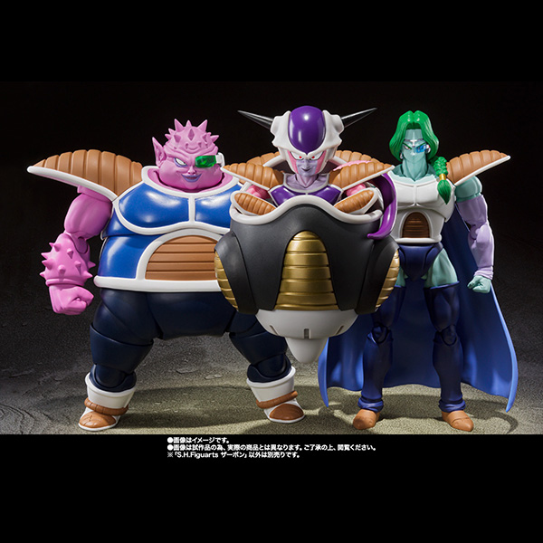 BANDAI 萬代 | 魂商店限定 | S.H.Figuarts SHF 七龍珠Z | 尚波 (預訂2022年4月) 