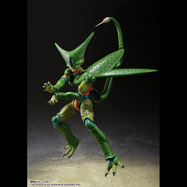 BANDAI 萬代 | S.H.Figuarts SHF 七龍珠Z | 賽魯 | 西魯 | 第一形態 | 高約17公分 | 可動完成品 | 全新未拆 | 現貨 