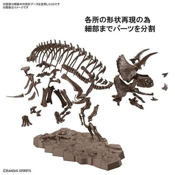 BANDAI 萬代 | 1/32 Imaginary Skeleton 幻想骨骼系列 | 三角龍 | 組裝模型 | 現貨 