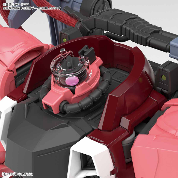 BANDAI 萬代 | MG 1/100《機動戰士鋼彈SEED DESTINY》ZGMF-1000/A1 砲擊型薩克戰士（露娜瑪麗亞·霍克專用機）組裝模型  